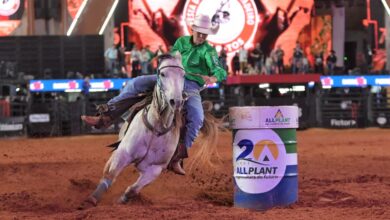 Resultados de 26 de agosto das montarias em touros pela LNR e Três Tambores pela Taça Os Independentes 3 05161