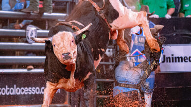 Creditos JW FOTO ARENA 2