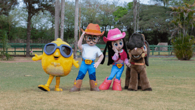 Turma da Boiadeirinha: novo desenho infantil inspirado em Ana Castela promete encantar as crianças 5 foto fantasias 2