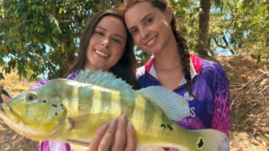 be1a141b cfac 4e3c aef8 abf81d7c719b 1