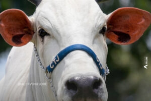 SnapInsta.to 656272143 18576827755043307 7229541303108285968 n