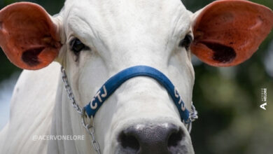 SnapInsta.to 656272143 18576827755043307 7229541303108285968 n