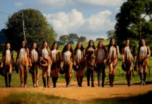 12 finalistas