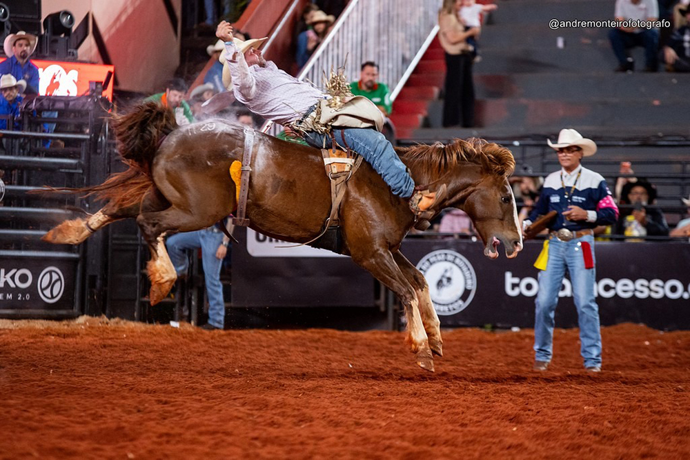 Kelly Timberman conquista título do Bareback em despedida das arenas em Barretos 1 WhatsApp Image 2026 08 24 at 10.10.55