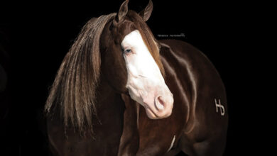 unnamed 1